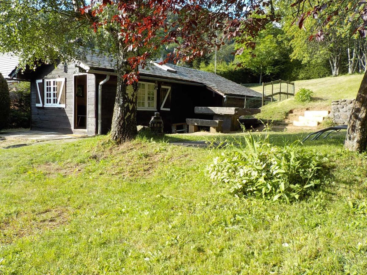 Chalet des cascades Mont-Dore Exterior foto