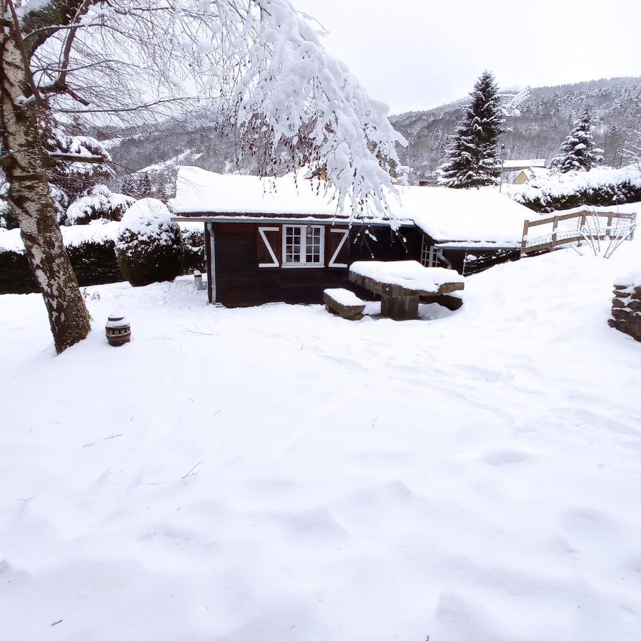 Chalet des cascades Mont-Dore Exterior foto