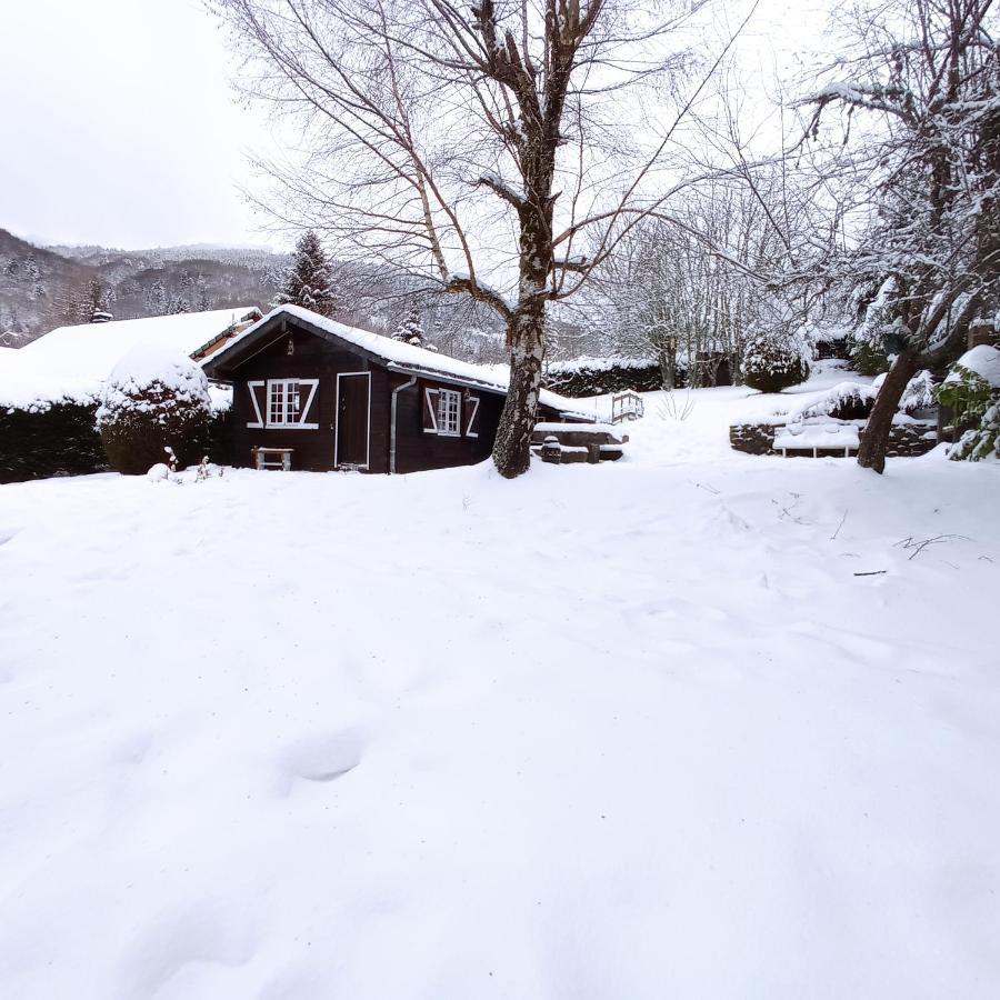 Chalet des cascades Mont-Dore Exterior foto